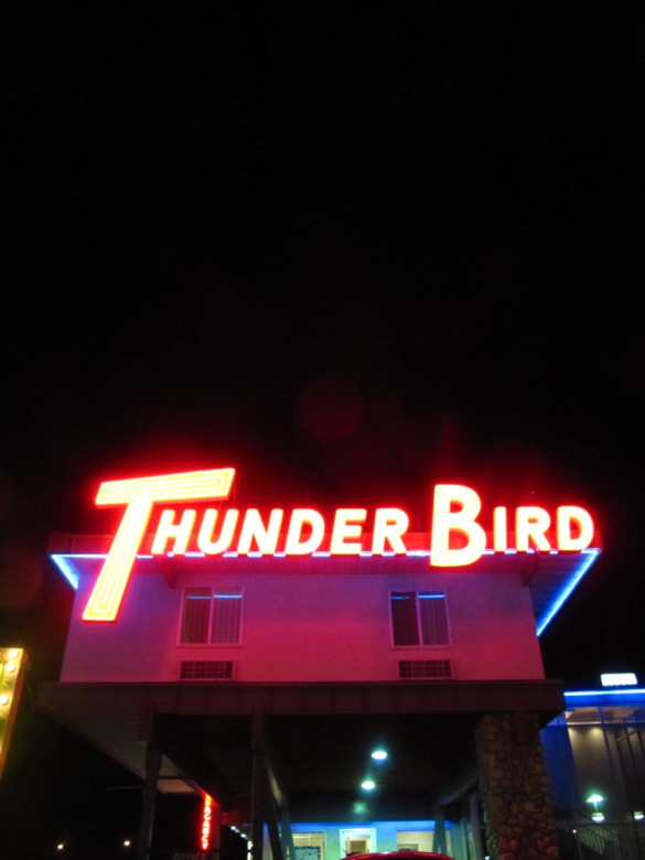 The Thunder Bird